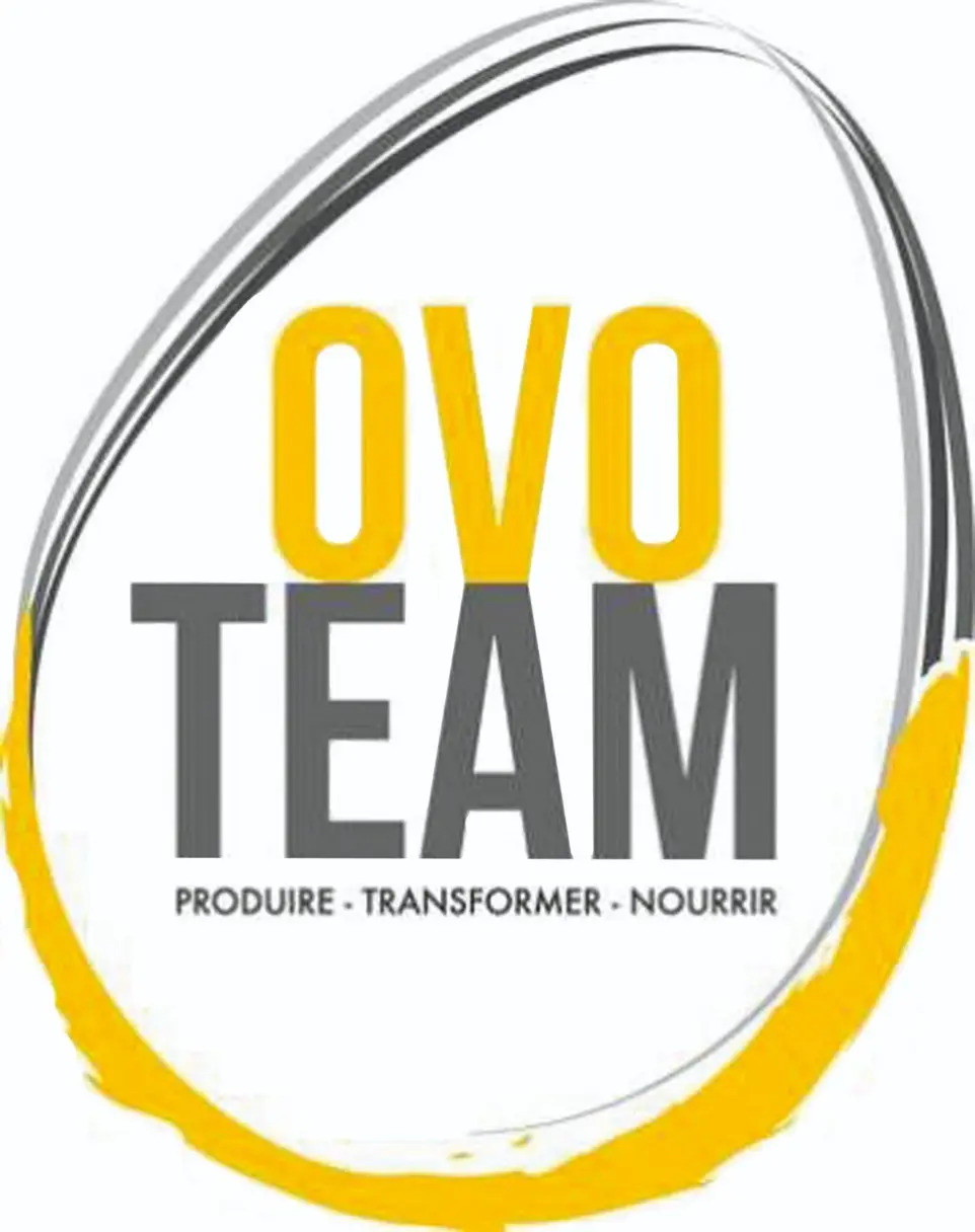 OVO TEAM